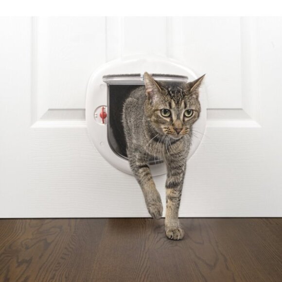 Locking Pet door for Small Pets Cats and Small Breed Dogs 0-25 lbs - Picture 4 of 6